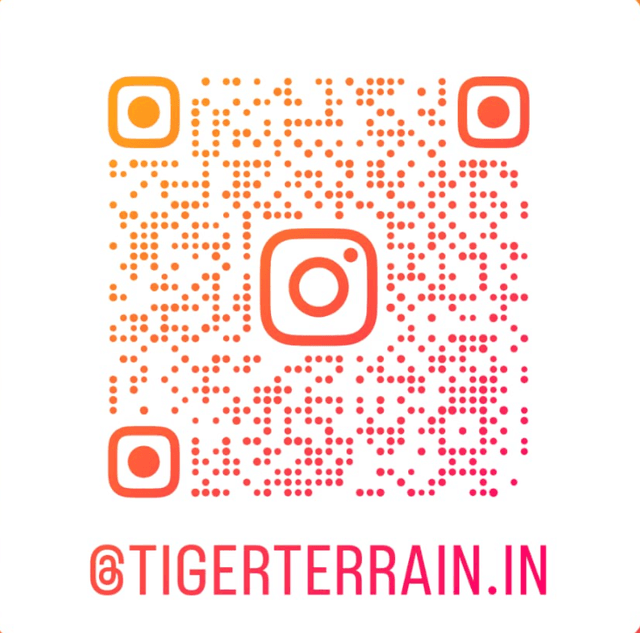 Instagram QR Code